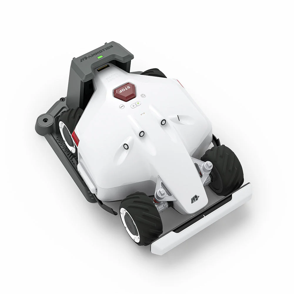TEST - Image 4